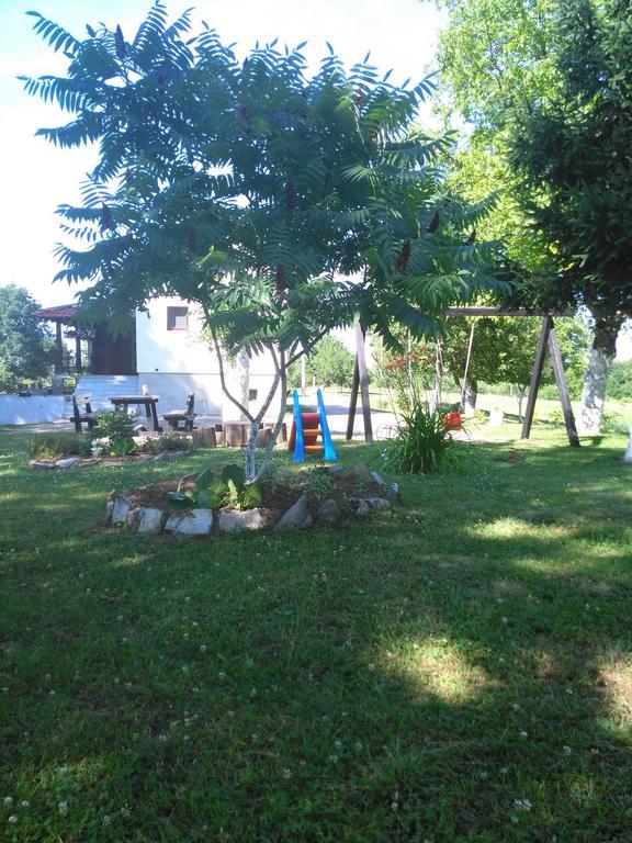 Guest House Antonela สโมลยานัซ ห้อง รูปภาพ
