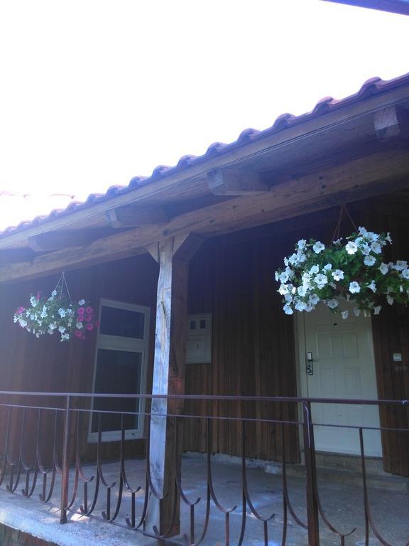 Guest House Antonela สโมลยานัซ ห้อง รูปภาพ