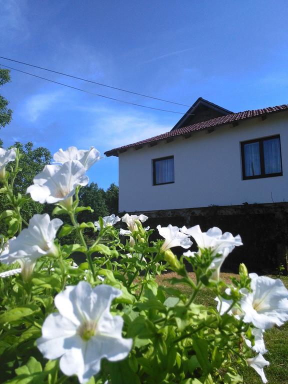 Guest House Antonela สโมลยานัซ ห้อง รูปภาพ